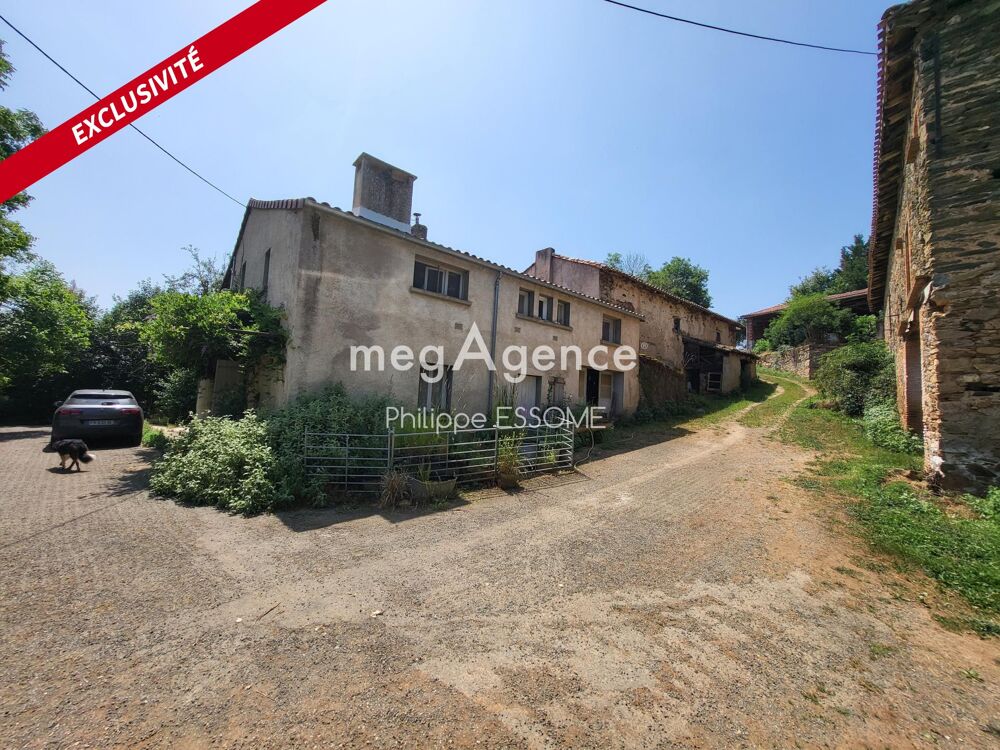 Vente Maison Ferme 13 pièces, 320m2 sur 20 HA Teillet