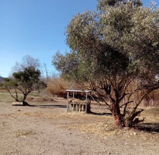  Terrain � vendre 8000 m� Millas