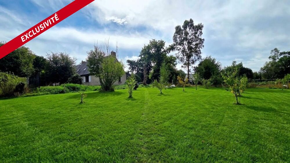Propriété d'exception - 4500 m² Terrain - 4 chambres
