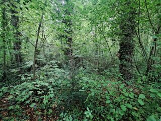  Terrain à vendre 5904 m²