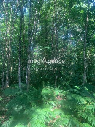  Terrain � vendre 5550 m�