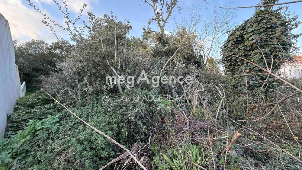 Vente Terrain Terrain constructible arrière port L' ile-d'yeu
