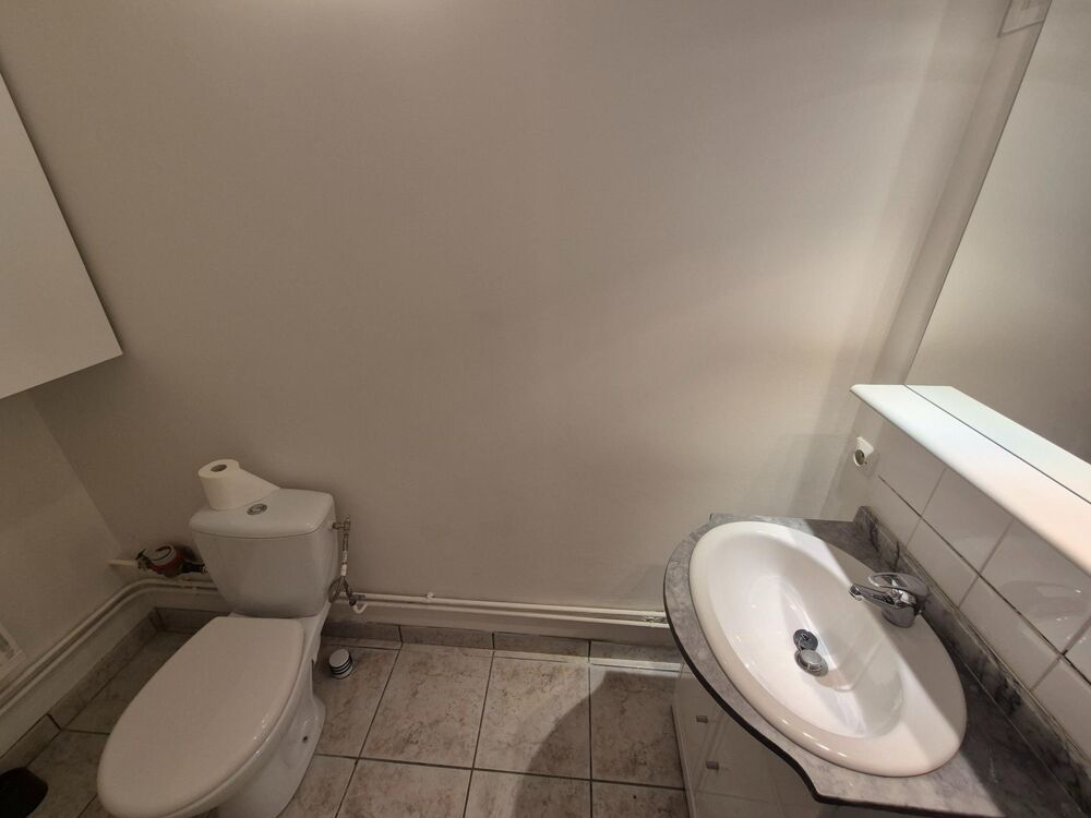 Vente Appartement La métare / prox Fauriel : Studio meublé vendu déjà loué ! Saint-etienne