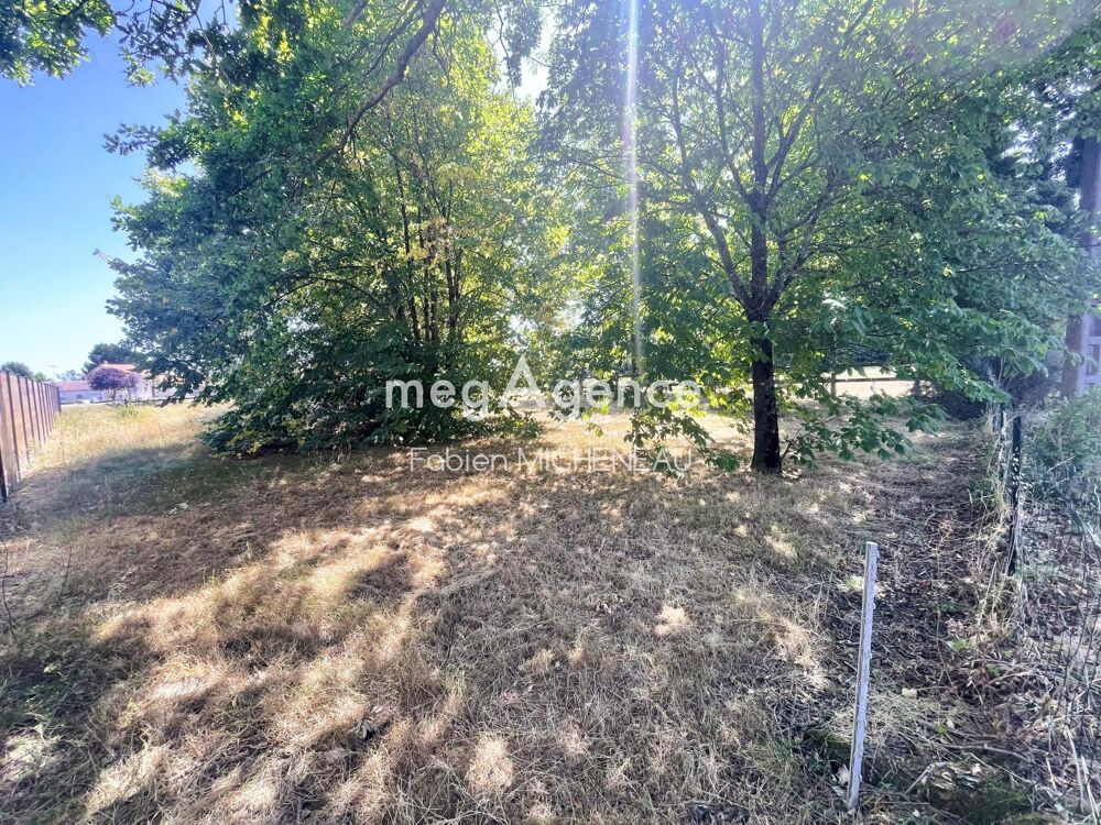 Vente Terrain Terrain constructible, 627m², St Leger sous Cholet Saint-leger-sous-cholet