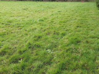  Terrain  vendre 875 m