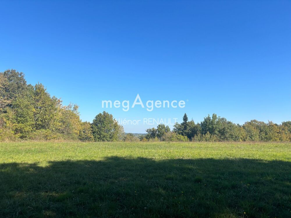 Vente Terrain Terrain à bâtir à ST LEON SUR VEZERE - 24 541 m² Saint-leon-sur-vezere