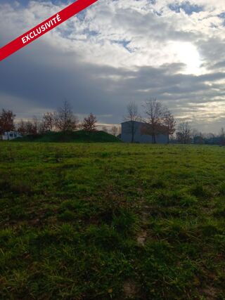  Terrain à vendre 5000 m²
