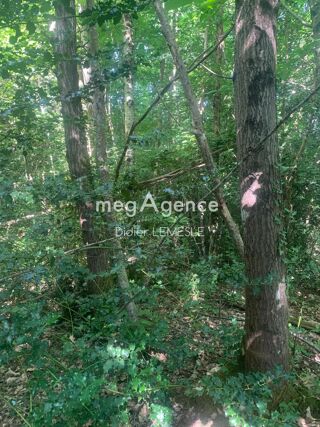  Terrain � vendre 5550 m�