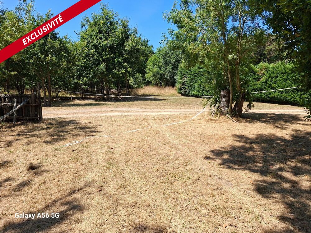 Vente Terrain Terrain boisé de 437 m² à Saint-Georges-d'Oléron Saint-georges-d'oleron