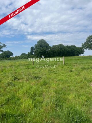  Terrain  vendre 31800 m