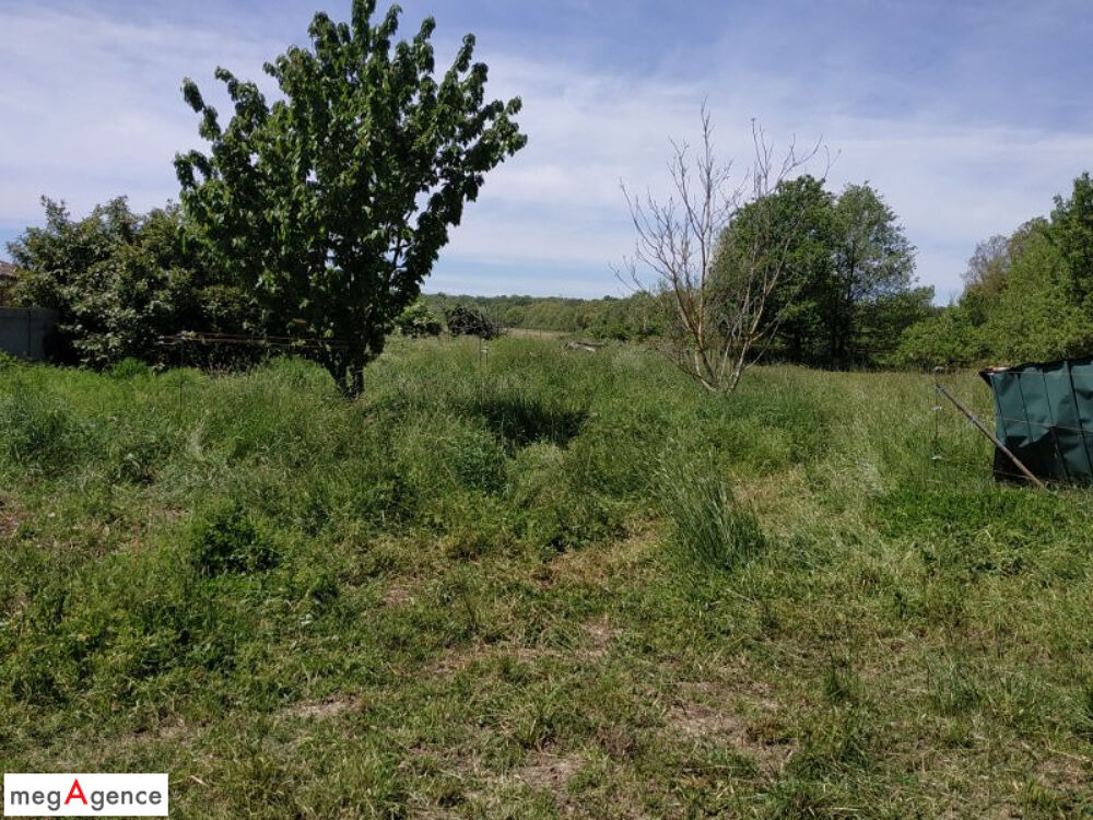 Vente Maison Maison de caractère 9 pièces à rénover plus dépendance sur 6000 m² de terrain Miremont