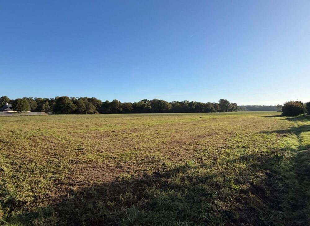 Vente Terrain Terrain constructible 720m2 Molac