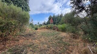 Terrain à vendre 13543 m²