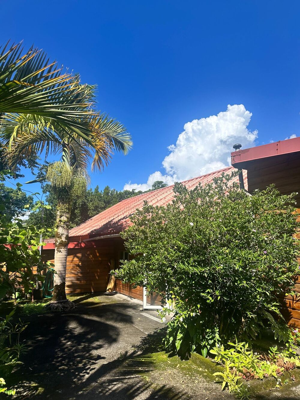 Vente Maison A Sainte-Rose, deux maisons mitoyennes meublées, chacune de type T4, d'une surface habitable de 293 m2, sur 959 m 2 de terrain. Sainte-rose