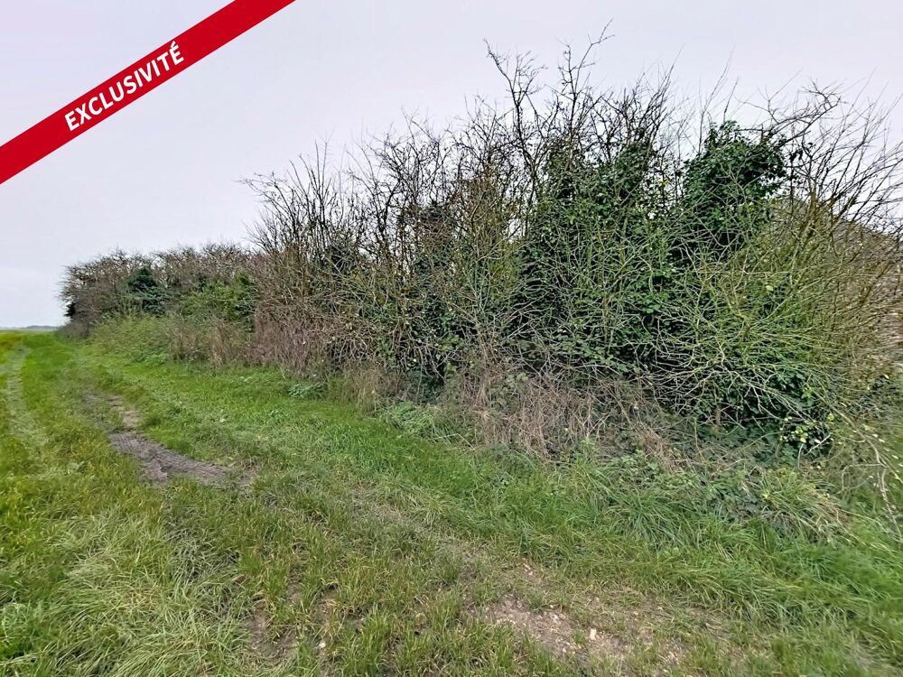 Vente Terrain Terrain de loisirs de 750 m² - Cadre paisible Les villages vovéens