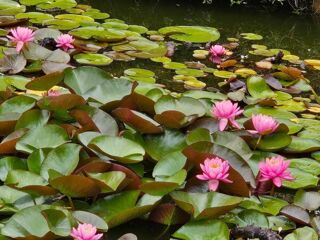  Maison � vendre 4 pi�ces 135 m�