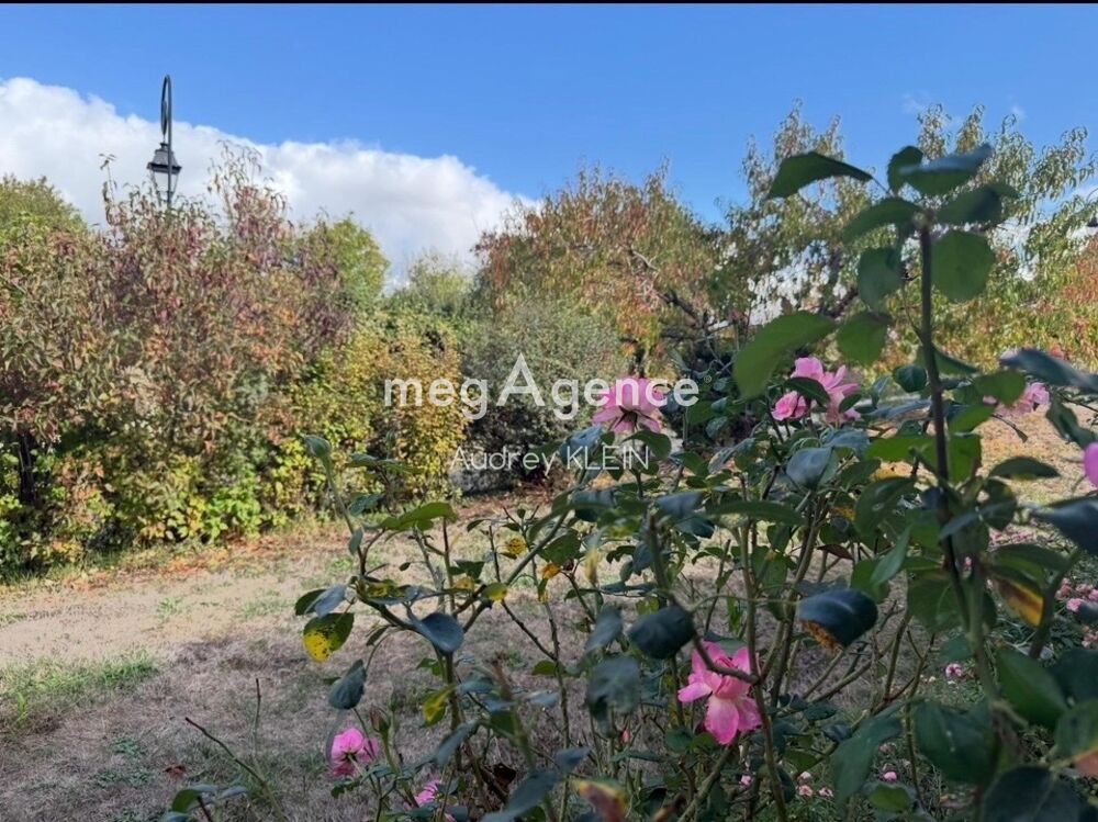 Vente Maison Coup de cœur assuré ! Maison familiale avec Clim réversible, Grand jardin Savigny-sur-clairis