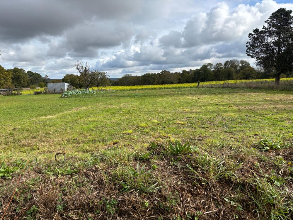 Vente Terrain Terrain 1356 m2 Peillac