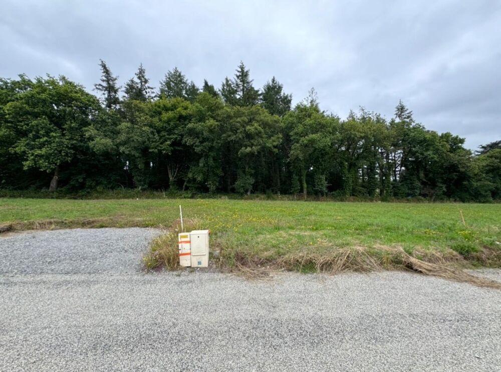 Vente Terrain Terrain constructible - 651m2 Ploermel