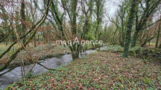  Maison à vendre 14 pièces 393 m²