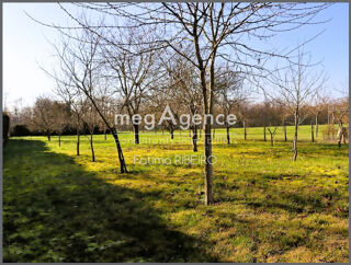  Terrain à vendre 1333 m²