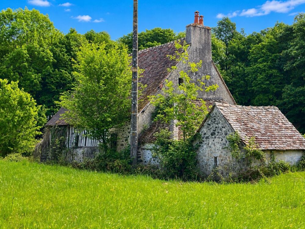 Ancienne conciergerie de château du XVe siècle  1 ha  Calme absolu  10 min du Mans