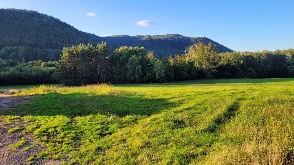 Vente Terrain SAINT DIE DES VOSGES - TERRAIN CONSTRUCTIBLE Saint-die-des-vosges