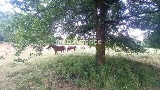  Maison � vendre 3 pi�ces 117 m�