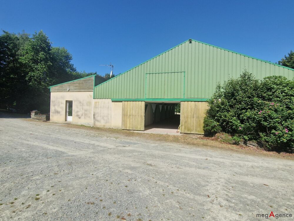 à vendre  Maison Nozay (44170)