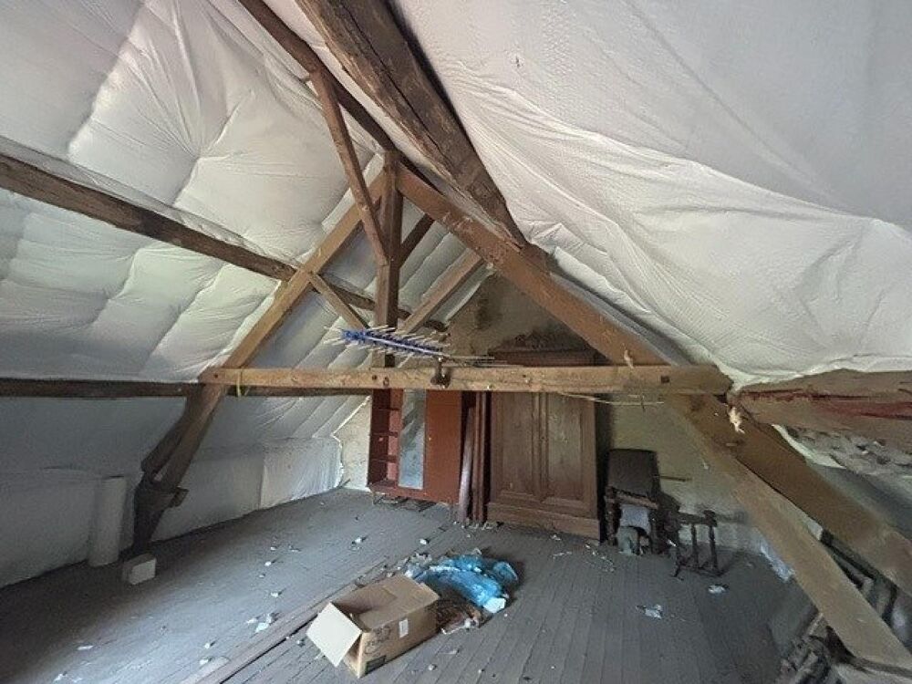 Vente Maison Maison avec 7000 m² de terrain attenant Mosnay
