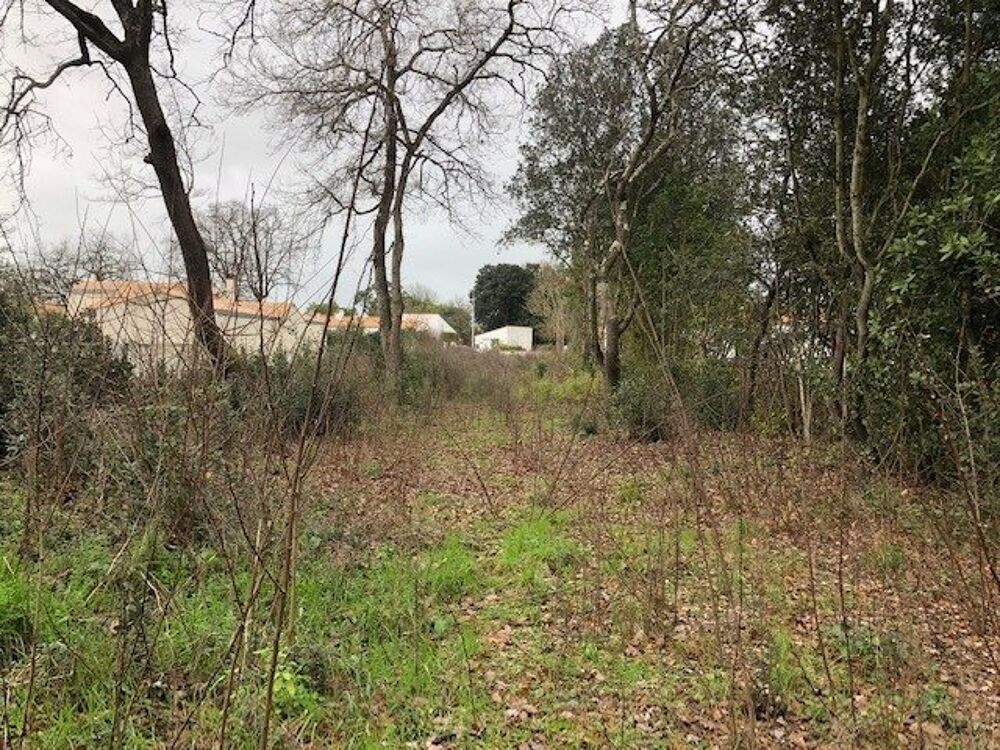 Vente Terrain SAINT-GEORGES D'OLERON, TERRAIN A BATIR de 813m² Saint-georges-d'oleron