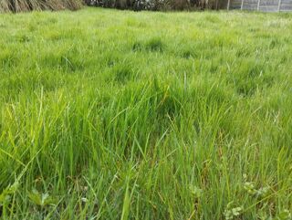  Terrain  vendre 625 m