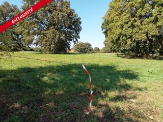  Terrain à vendre 2875 m²