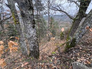  Terrain à vendre 10850 m²