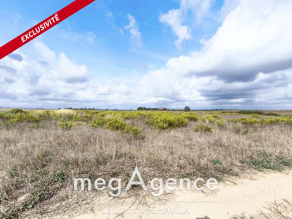Vente Terrain Terrain agricole - Caylus, Villeneuve les béziers - 20 000€ Villeneuve-les-beziers
