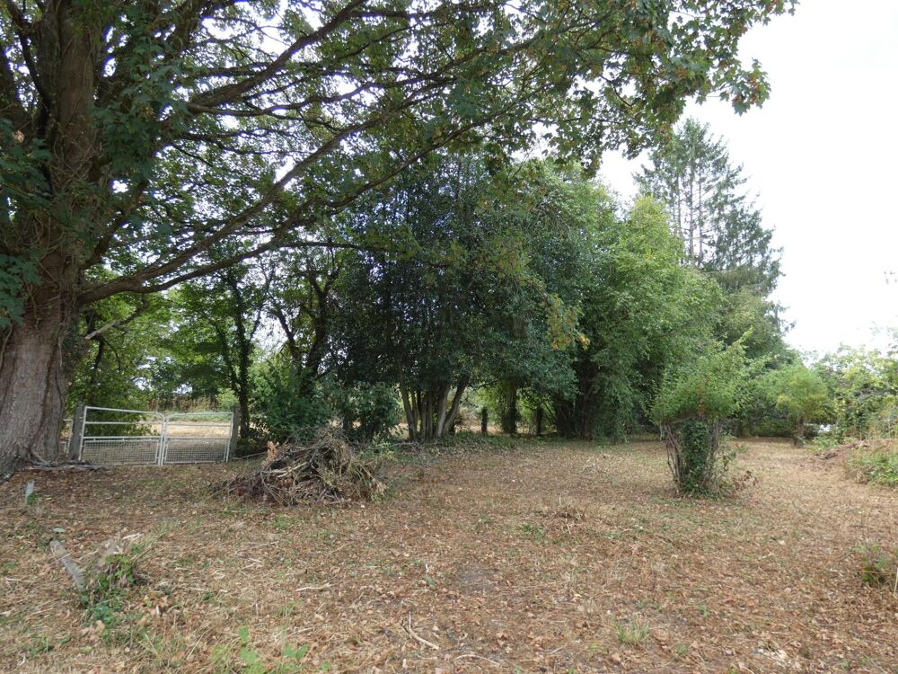Vente Terrain Terrain constructible 2613m2 à Pacé (9km d'Alençon) Pace