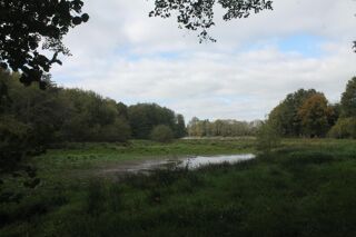  Terrain � vendre 67340 m�