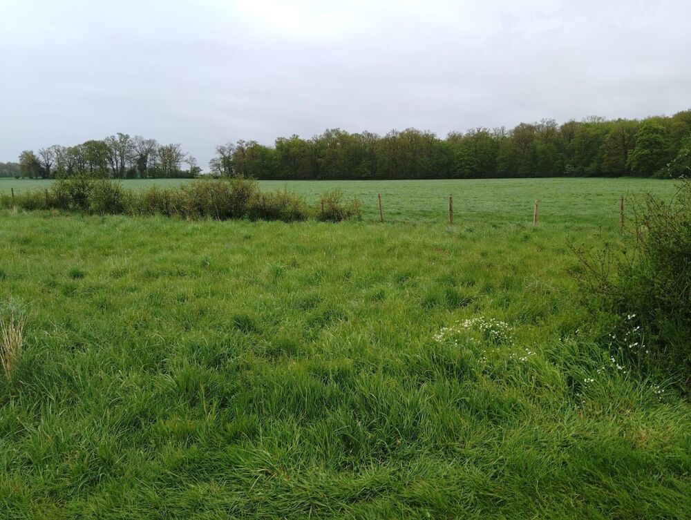 Vente Terrain Ce n'est pas un terrain. C'est le début de votre histoire Breteuil