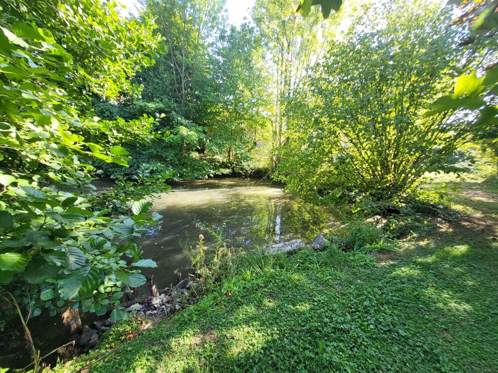 Vente Maison Maison de 226 m2 dans le centre de Courtenay Courtenay