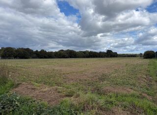  Terrain à vendre 1300 m²