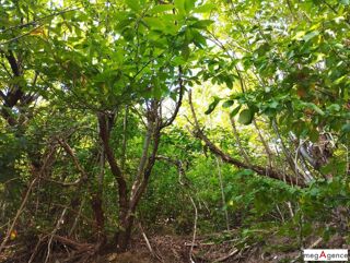  Terrain � vendre 4671 m� Ispagnac