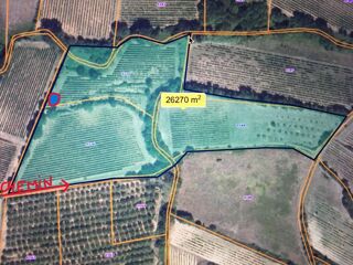  Terrain � vendre 27000 m�