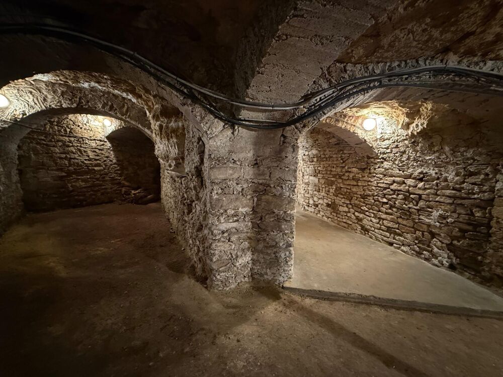 Vente Maison ÉPÔNE Un bien unique de plain-pied avec cave voûtée de plus de 100 m², véritable coup de cœur ! Epone