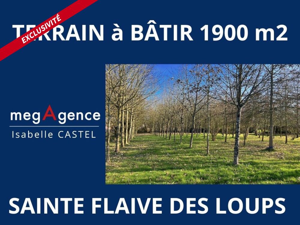 Vente Terrain TERRAIN À BÂTIR 1900 M2 ENVIRON Sainte-flaive-des-loups