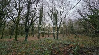  Maison � vendre 14 pi�ces 393 m�