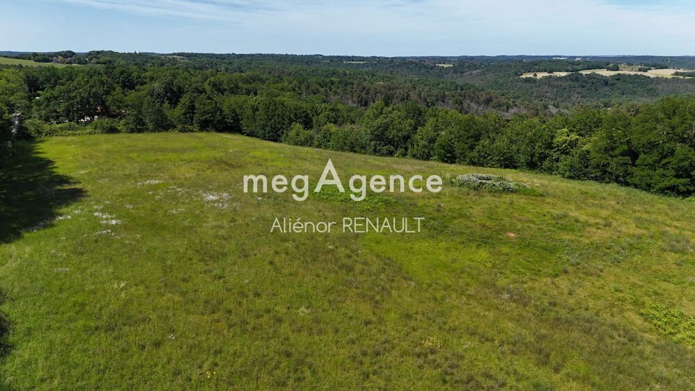 Vente Terrain Terrain à bâtir à ST LEON SUR VEZERE - 13 314 m² Saint-leon-sur-vezere
