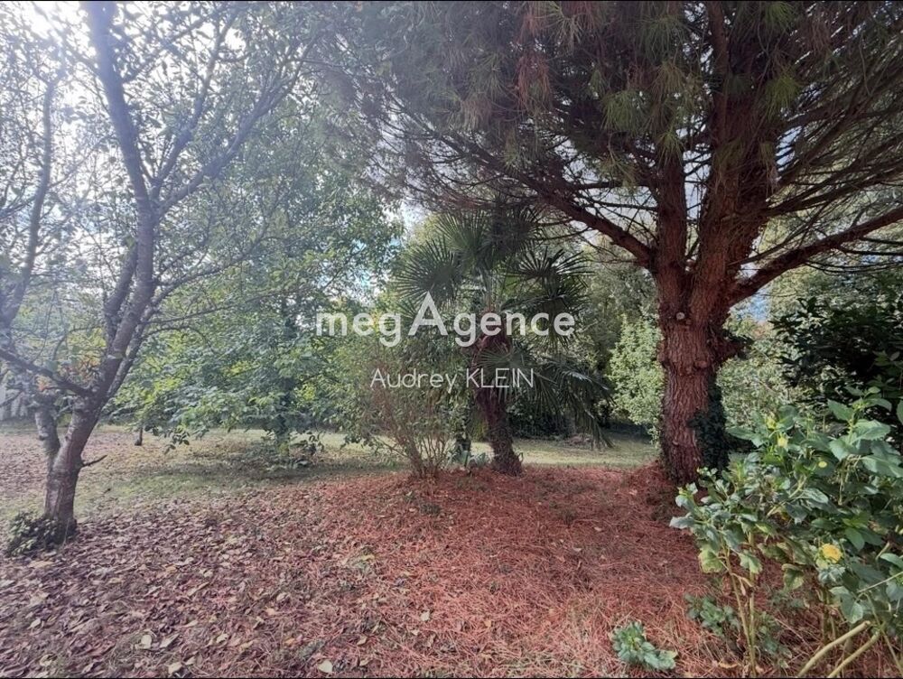 Vente Maison Coup de cœur assuré ! Maison familiale avec Clim réversible, Grand jardin Savigny-sur-clairis