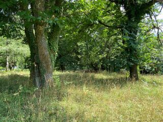  Terrain � vendre 2281 m�