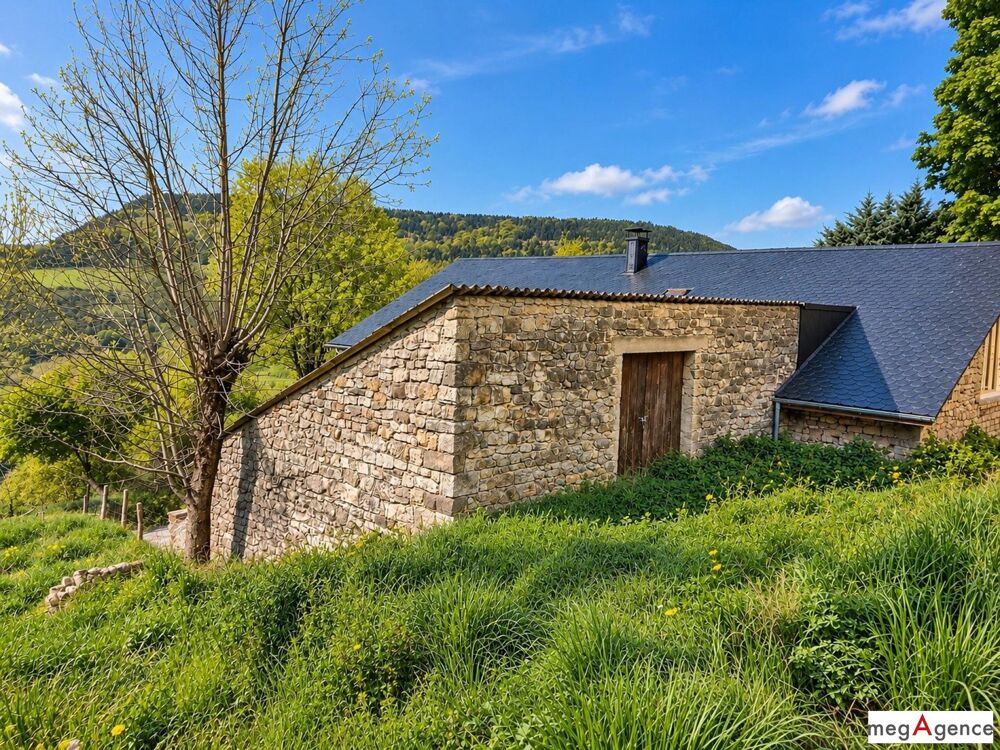 Maison en pierre + grange + 3 200 m² terrain  Cévennes