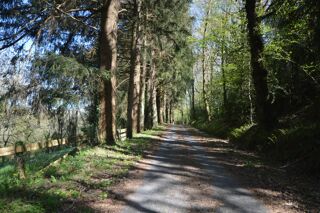  Propri�t�/ch�teau � vendre 15 + pi�ces 941 m�